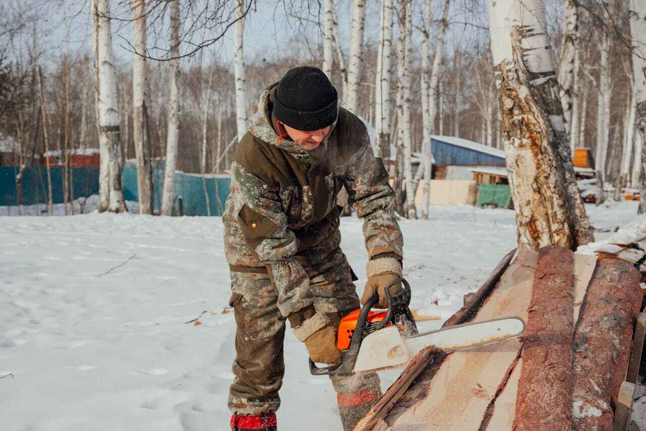 Best Tree Removal Near Me  in Jacksonville, FL